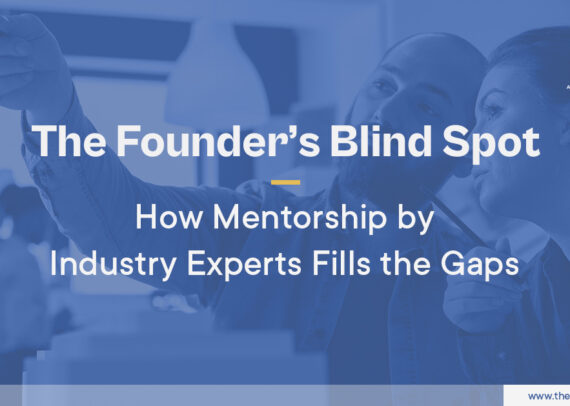 Mentorship by Industry Experts