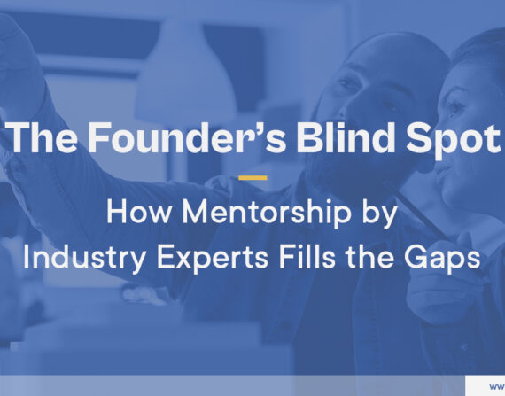Mentorship by Industry Experts